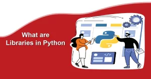 What are Python Libraries