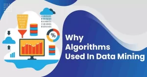 Algorithms Used In Data Mining