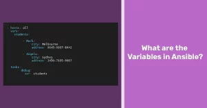 Variables in Ansible