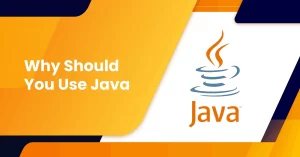 Why use Java