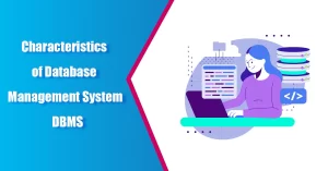 Characteristics of Database Management System DBMS
