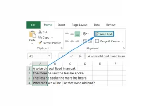 In Excel how do you wrap text