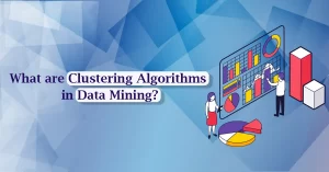 What are Clustering Algorithms in Data Mining?