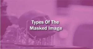 types of the masked image