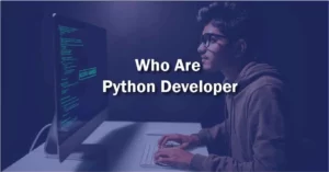 Who are Python Developers