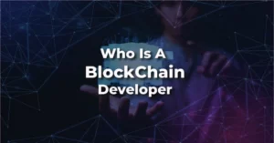 Who is a Blockchain developer