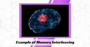 Example of Memory Interleaving