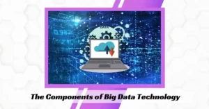 The Components of Big Data Technology