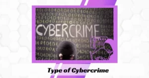 Type of Cybercrime