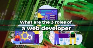 What are the 3 roles of a web developer