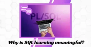 Why is SQL learning meaningful