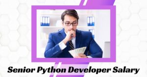 senior python developer salary