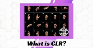  What is CLR?