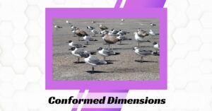 Conformed Dimensions