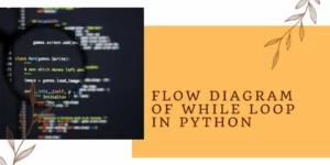 Flow diagram of While Loop in Python