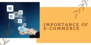 Importance of E-Commerce 