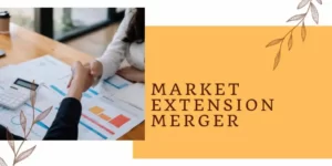 Market Extension Merger