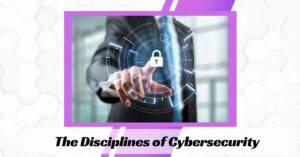 The Disciplines of Cybersecurity