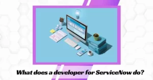 What does a developer for ServiceNow do?