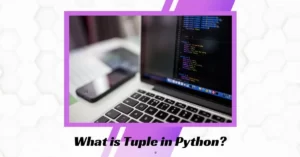 What is Tuple in Python?