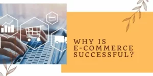 Why is E-commerce Successful