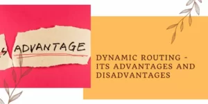 Dynamic Routing - Its Advantages and Disadvantages